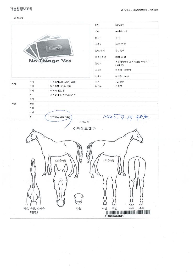 ÀºÆÄºÎ½ºÅÍÀÇ Ãø¸é,¿ì¸é,µÞ¸é,µÎ»ó,´Ù¸®ÀÇ Æ¯Â¡µµÇØ