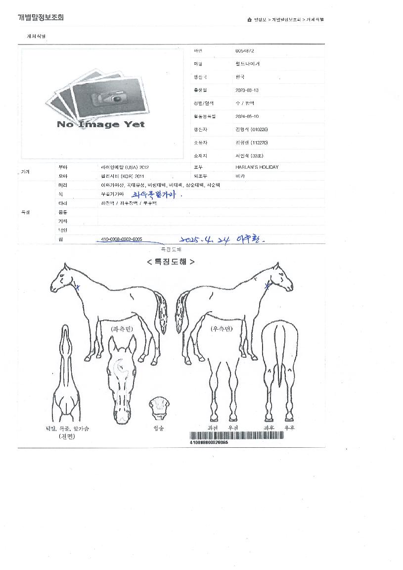 ¿ùµåŸÀ̰ÅÀÇ Ãø¸é,¿ì¸é,µÞ¸é,µÎ»ó,´Ù¸®ÀÇ Æ¯Â¡µµÇØ