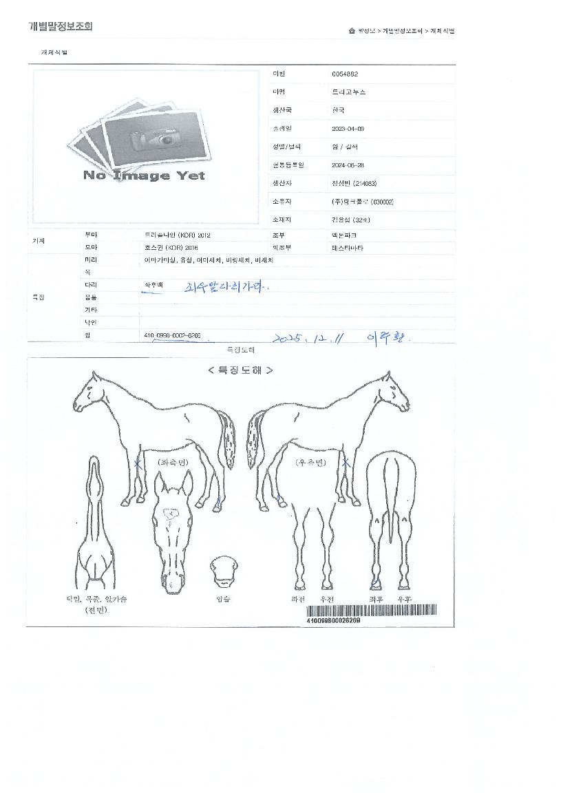 Ʈ���������� ����,���,�޸�,�λ�,�ٸ��� Ư¡����