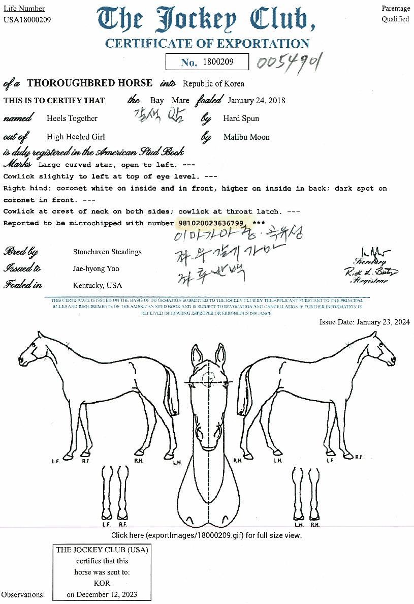 �������Դ��� ����,���,�޸�,�λ�,�ٸ��� Ư¡����