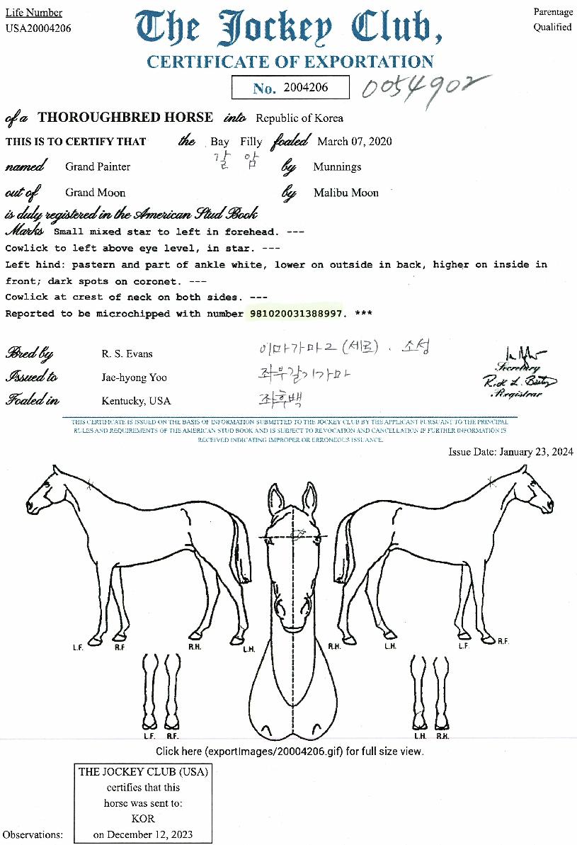 ±×·£µåÆäÀÎÅÍÀÇ Ãø¸é,¿ì¸é,µÞ¸é,µÎ»ó,´Ù¸®ÀÇ Æ¯Â¡µµÇØ