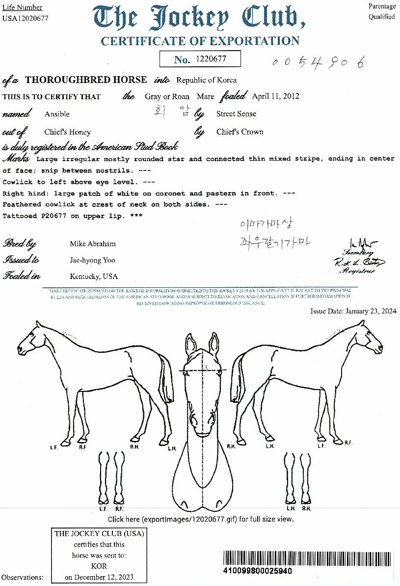 �ؼ����� ����,���,�޸�,�λ�,�ٸ��� Ư¡����