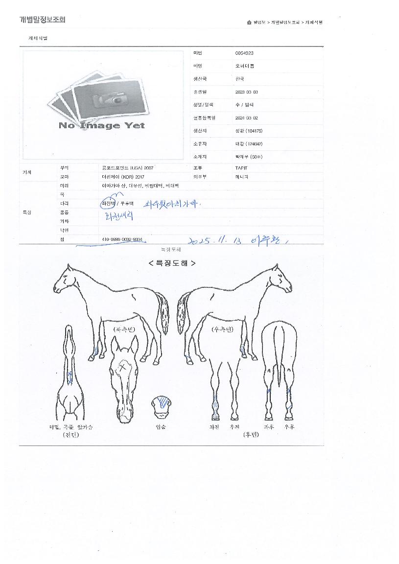 ¿À¹ö´õÅéÀÇ Ãø¸é,¿ì¸é,µÞ¸é,µÎ»ó,´Ù¸®ÀÇ Æ¯Â¡µµÇØ