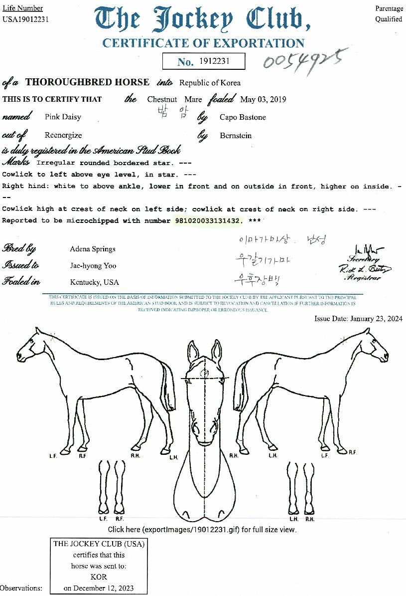 ÇÎÅ©µ¥ÀÌÁöÀÇ Ãø¸é,¿ì¸é,µÞ¸é,µÎ»ó,´Ù¸®ÀÇ Æ¯Â¡µµÇØ