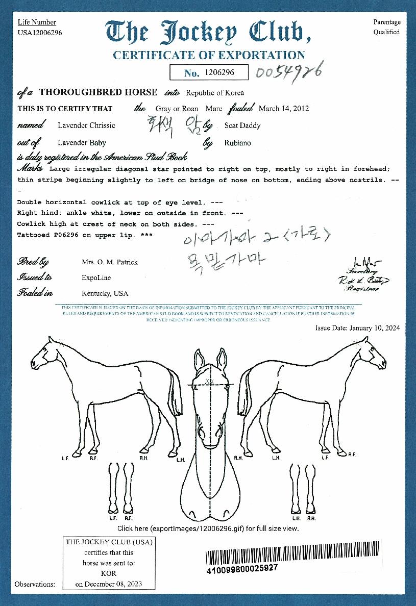 �󺥴�ũ������ ����,���,�޸�,�λ�,�ٸ��� Ư¡����