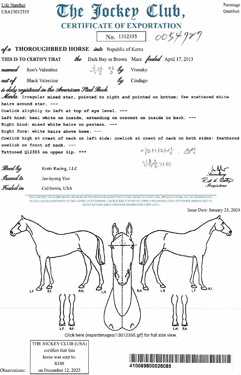 ����߷�Ÿ���� ����,���,�޸�,�λ�,�ٸ��� Ư¡����