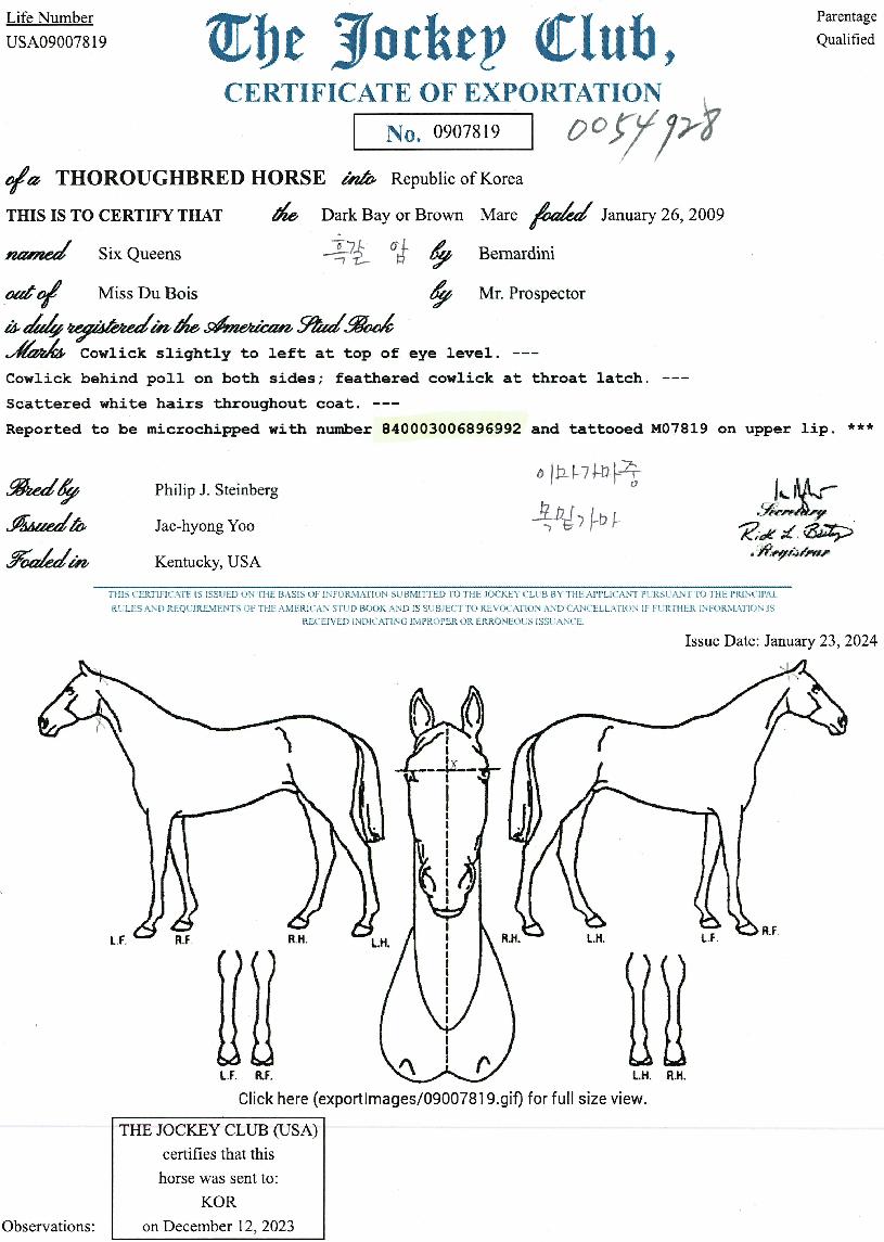 ½Ä½ºÄýÁîÀÇ Ãø¸é,¿ì¸é,µÞ¸é,µÎ»ó,´Ù¸®ÀÇ Æ¯Â¡µµÇØ