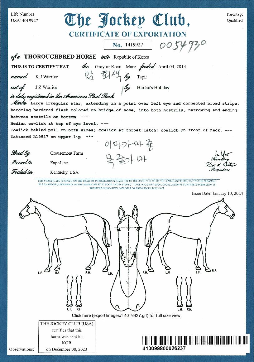 ÄÉÀÌÁ¦ÀÌ¿ö¸®¾îÀÇ Ãø¸é,¿ì¸é,µÞ¸é,µÎ»ó,´Ù¸®ÀÇ Æ¯Â¡µµÇØ