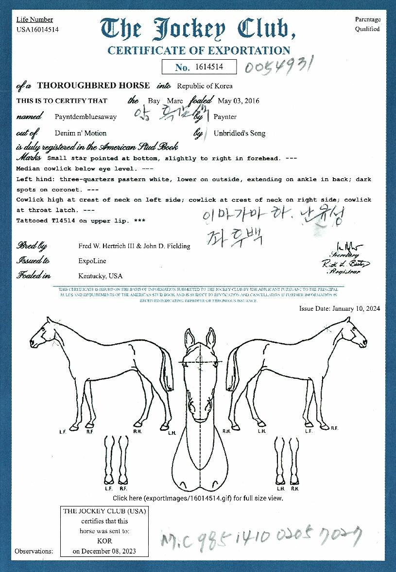 ����Ʈ����������� ����,���,�޸�,�λ�,�ٸ��� Ư¡����