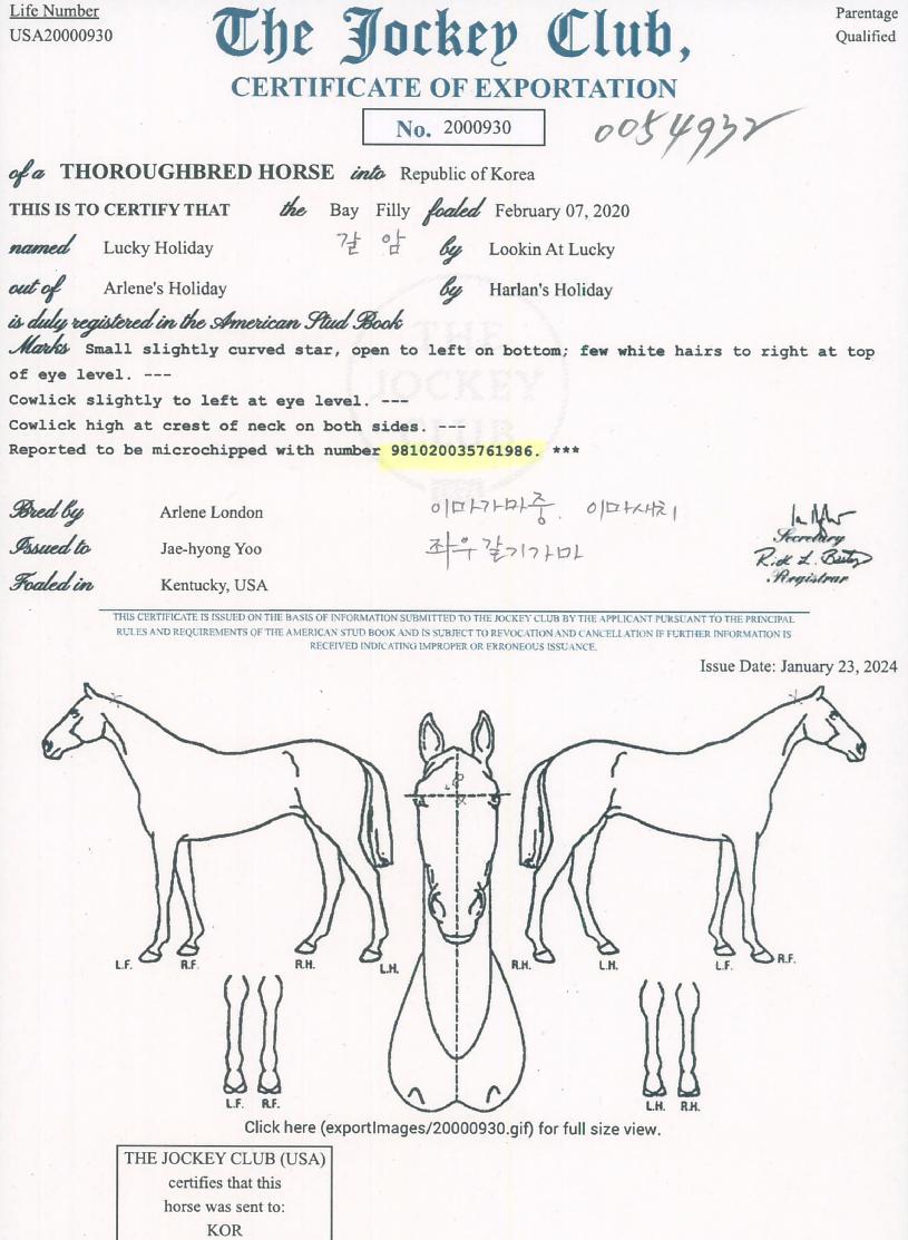 ��ŰȦ�������� ����,���,�޸�,�λ�,�ٸ��� Ư¡����