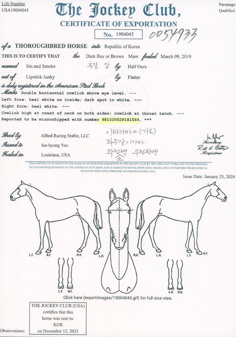 ½Å¾Øµå½º¸ðÅ©ÀÇ Ãø¸é,¿ì¸é,µÞ¸é,µÎ»ó,´Ù¸®ÀÇ Æ¯Â¡µµÇØ