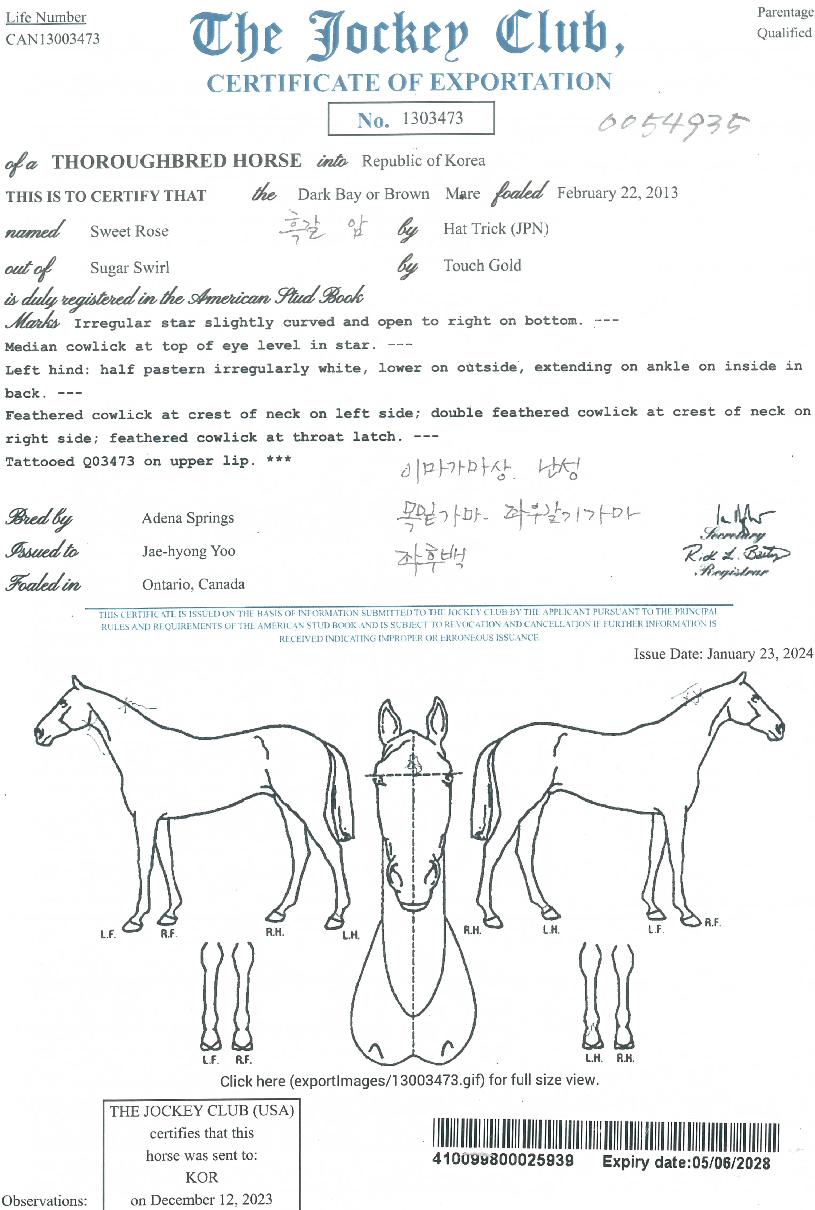 ����Ʈ������ ����,���,�޸�,�λ�,�ٸ��� Ư¡����