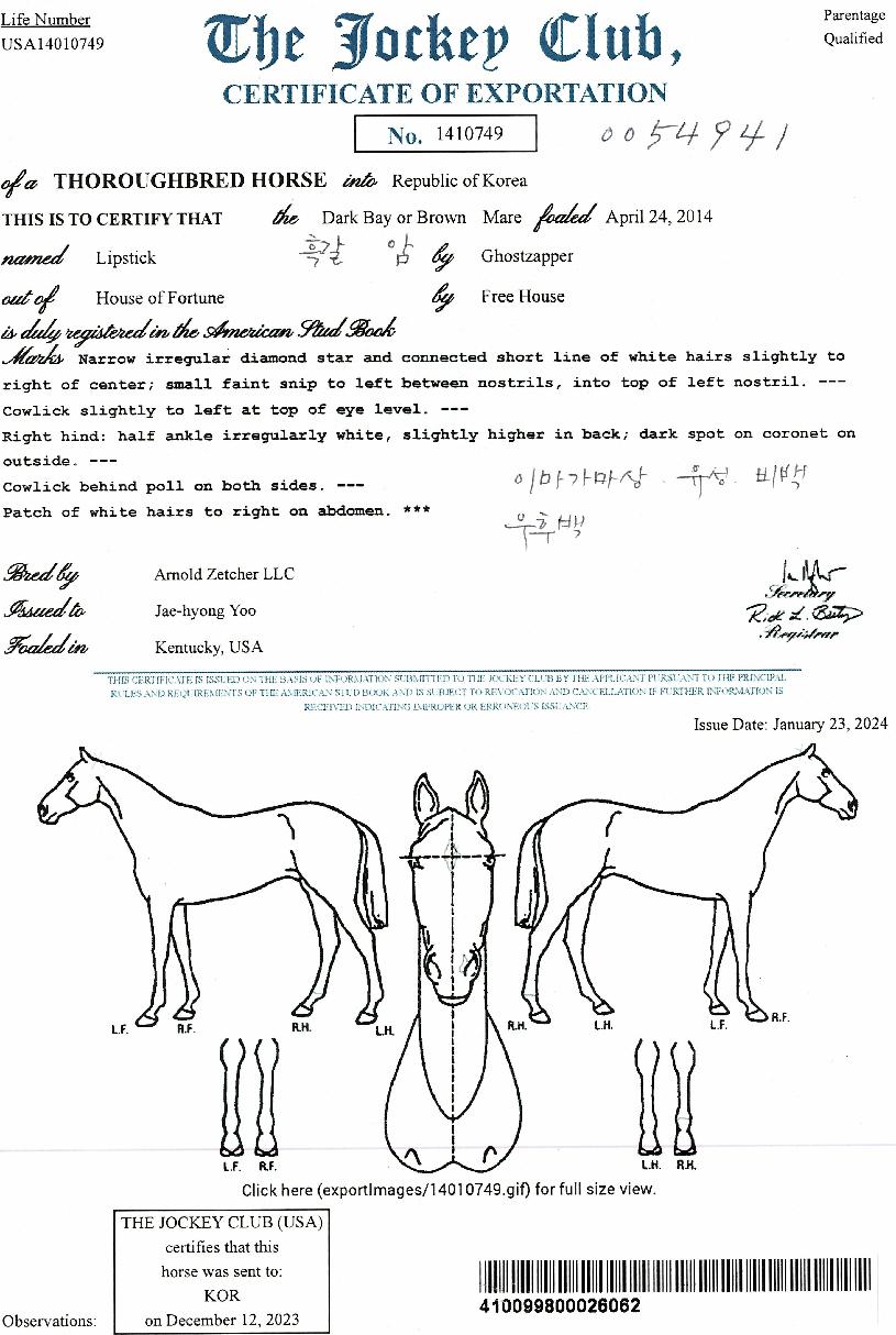 ����ƽ�� ����,���,�޸�,�λ�,�ٸ��� Ư¡����