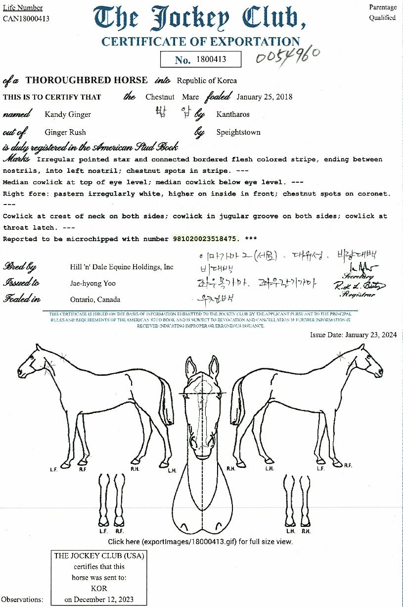 ĵ�������� ����,���,�޸�,�λ�,�ٸ��� Ư¡����