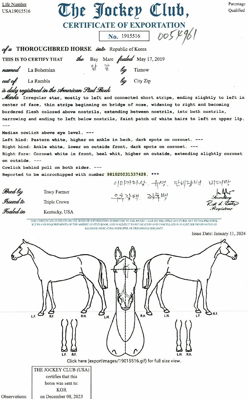 ����̾��� ����,���,�޸�,�λ�,�ٸ��� Ư¡����