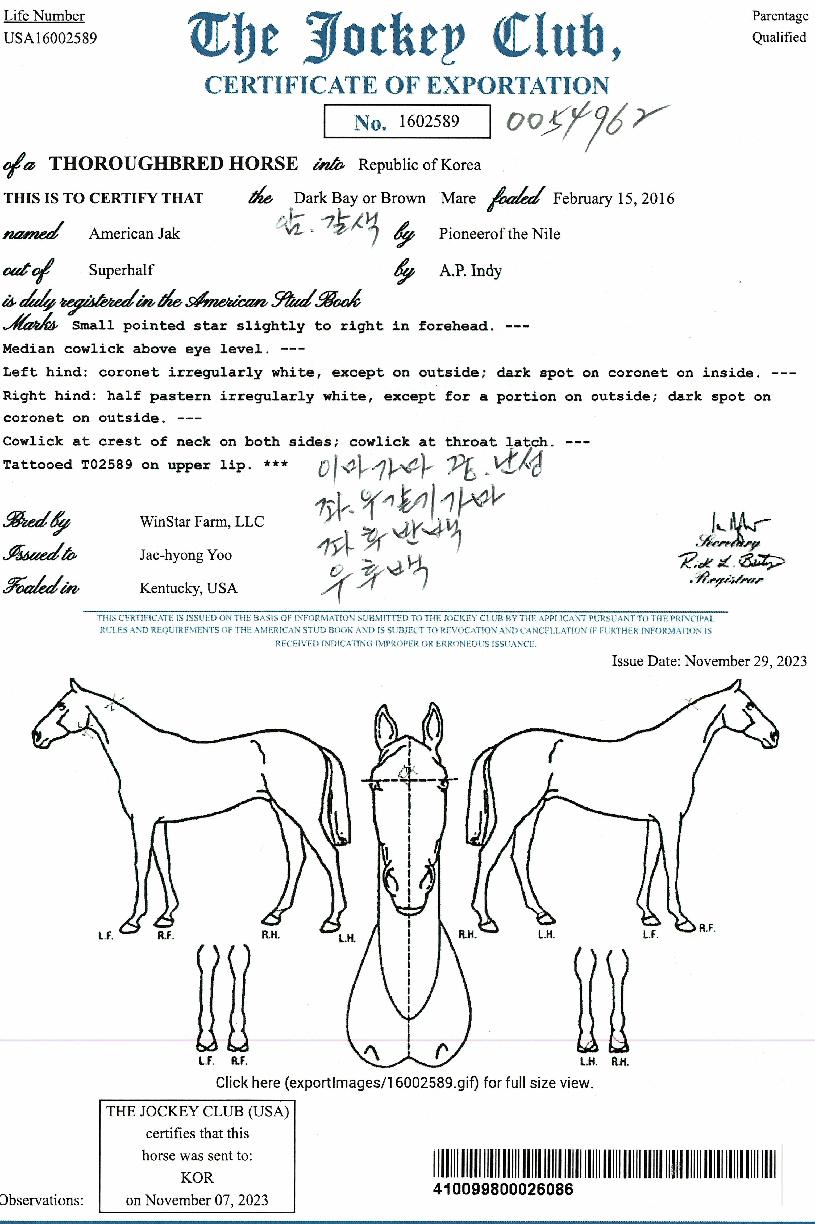 ¾Æ¸Þ¸®ÄÀèÀÇ Ãø¸é,¿ì¸é,µÞ¸é,µÎ»ó,´Ù¸®ÀÇ Æ¯Â¡µµÇØ