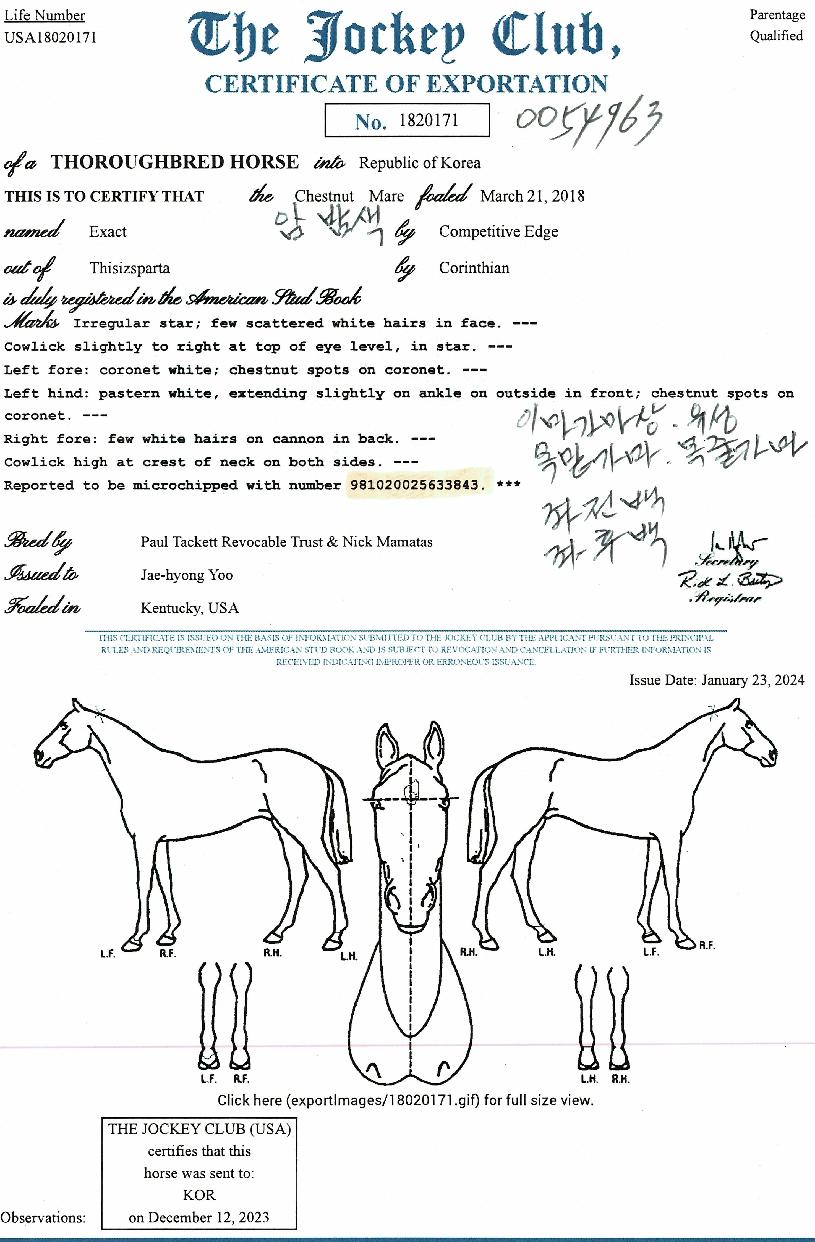 �̱���Ʈ�� ����,���,�޸�,�λ�,�ٸ��� Ư¡����