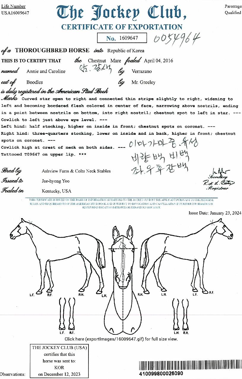 �ִϾص�ĳ�Ѷ����� ����,���,�޸�,�λ�,�ٸ��� Ư¡����