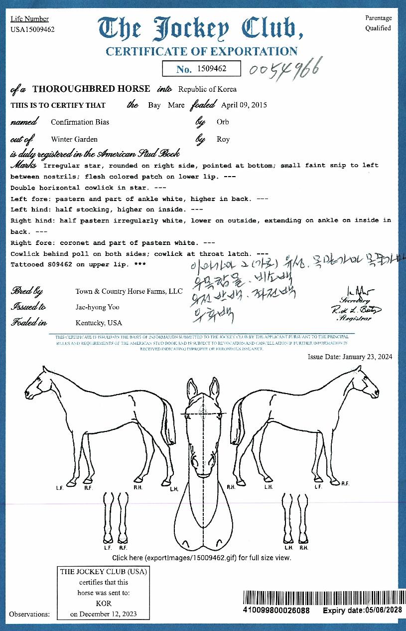 ÄÁÆÛ¸ÞÀ̼ǹÙÀ̽ºÀÇ Ãø¸é,¿ì¸é,µÞ¸é,µÎ»ó,´Ù¸®ÀÇ Æ¯Â¡µµÇØ