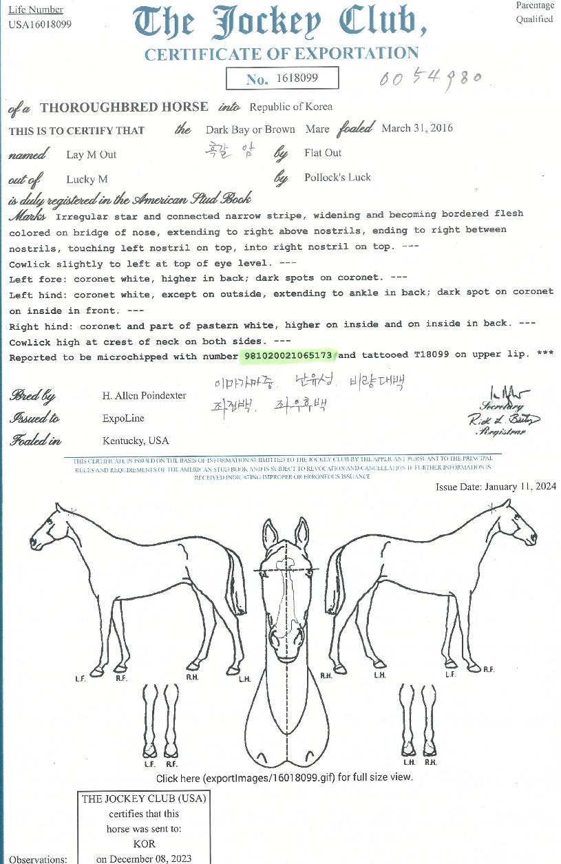 ·¹ÀÌ¿¥¾Æ¿ôÀÇ Ãø¸é,¿ì¸é,µÞ¸é,µÎ»ó,´Ù¸®ÀÇ Æ¯Â¡µµÇØ