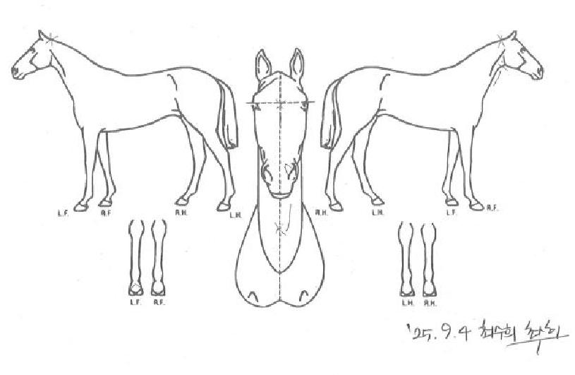 ºê¸®µµÄ¡ÇÁÀÇ Ãø¸é,¿ì¸é,µÞ¸é,µÎ»ó,´Ù¸®ÀÇ Æ¯Â¡µµÇØ