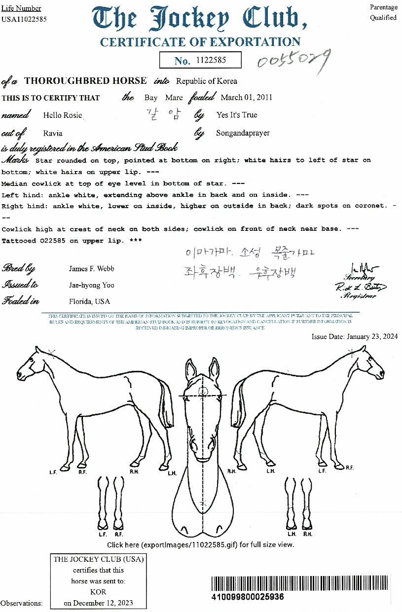 Çï·Î·ÎÁöÀÇ Ãø¸é,¿ì¸é,µÞ¸é,µÎ»ó,´Ù¸®ÀÇ Æ¯Â¡µµÇØ