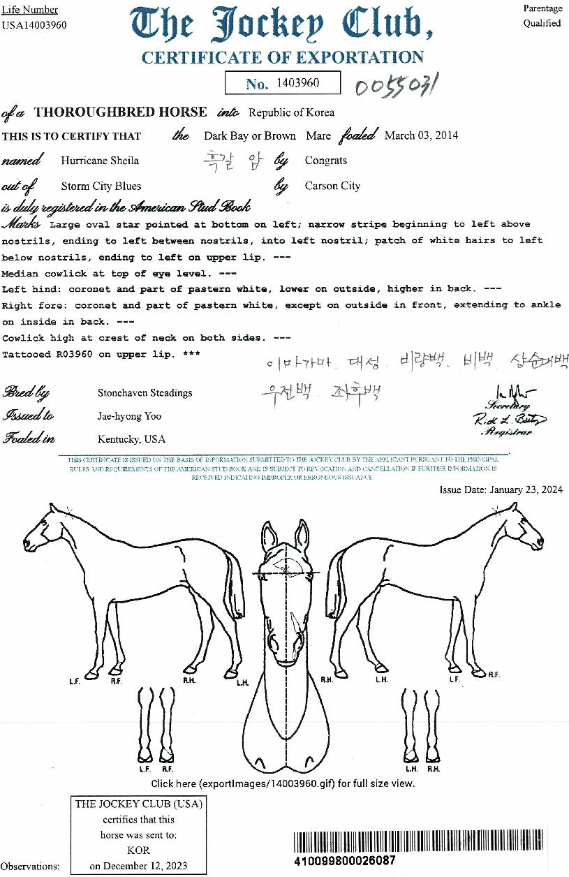 Ç㸮ÄÉÀμÎÀ϶óÀÇ Ãø¸é,¿ì¸é,µÞ¸é,µÎ»ó,´Ù¸®ÀÇ Æ¯Â¡µµÇØ