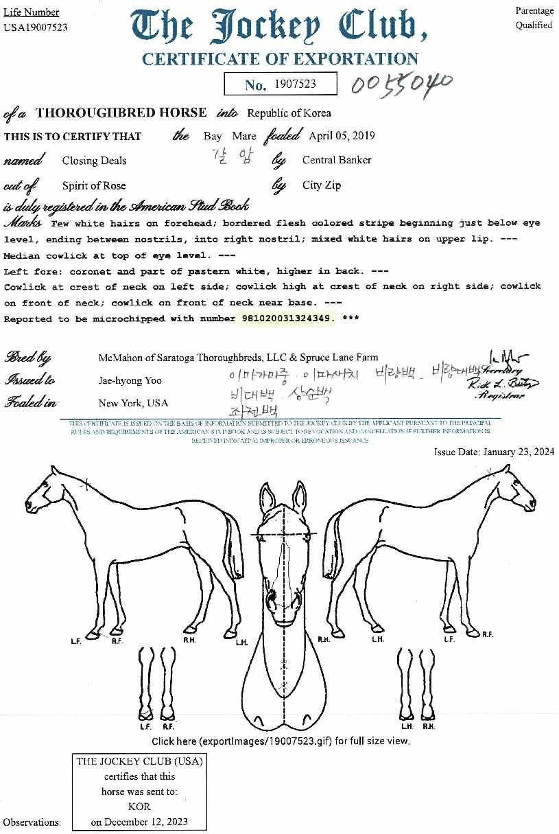 Ŭ��¡������ ����,���,�޸�,�λ�,�ٸ��� Ư¡����