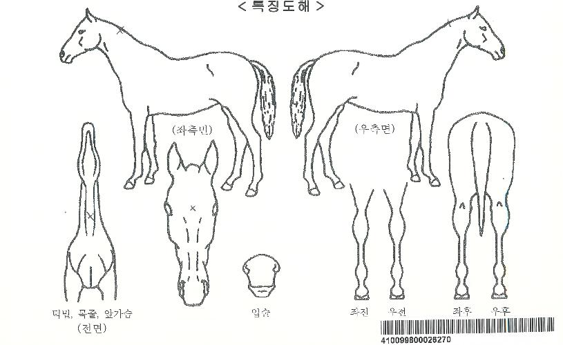 Á¦·ÎÆ÷ÀÎÆ®ÀÇ Ãø¸é,¿ì¸é,µÞ¸é,µÎ»ó,´Ù¸®ÀÇ Æ¯Â¡µµÇØ