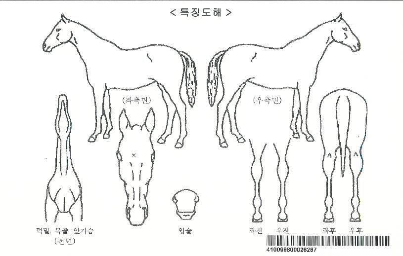 ��������� ����,���,�޸�,�λ�,�ٸ��� Ư¡����