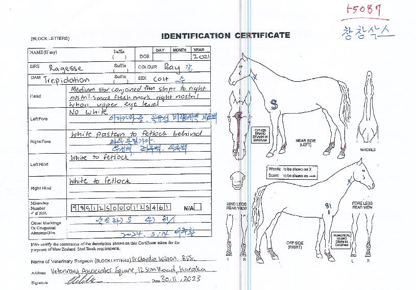 ââ�轺�� ����,���,�޸�,�λ�,�ٸ��� Ư¡����