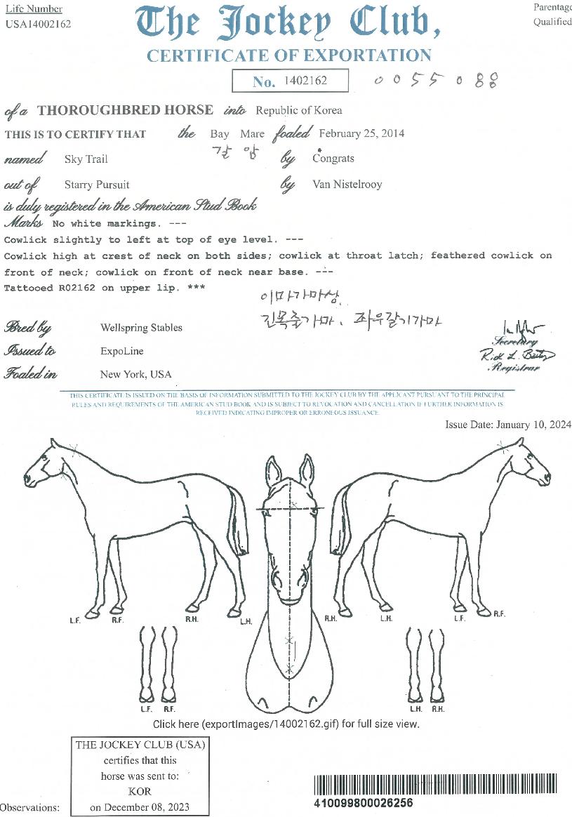 ½ºÄ«ÀÌÆ®·¹ÀÏÀÇ Ãø¸é,¿ì¸é,µÞ¸é,µÎ»ó,´Ù¸®ÀÇ Æ¯Â¡µµÇØ