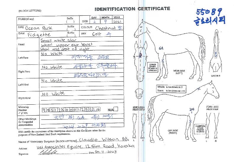 ±Û·Î¸®½ÃƼÀÇ Ãø¸é,¿ì¸é,µÞ¸é,µÎ»ó,´Ù¸®ÀÇ Æ¯Â¡µµÇØ