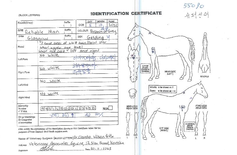 ½´ÆÛ¼±´õÀÇ Ãø¸é,¿ì¸é,µÞ¸é,µÎ»ó,´Ù¸®ÀÇ Æ¯Â¡µµÇØ