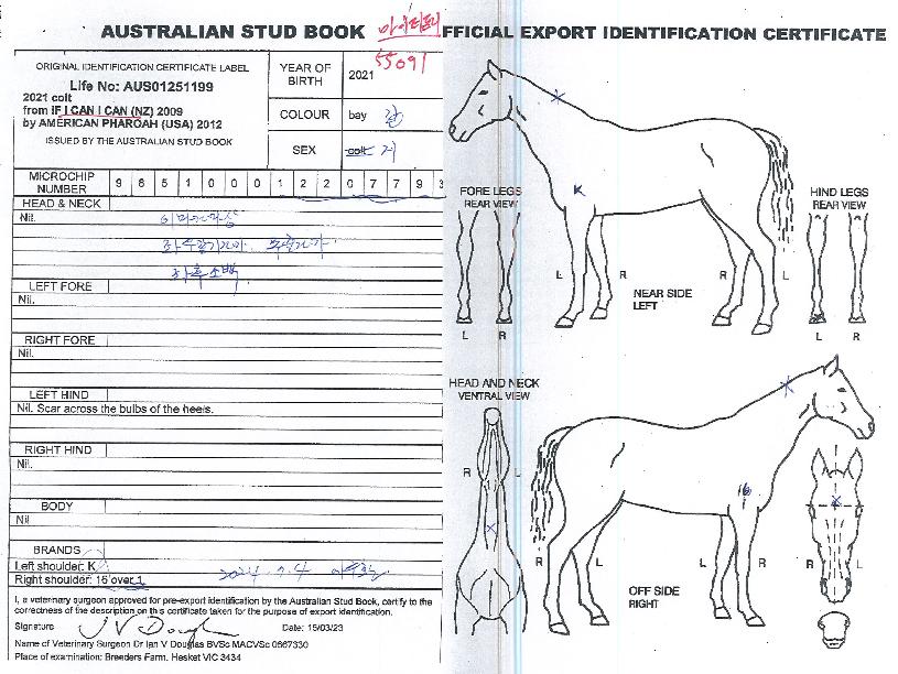 ¸¶ÀÌÆ¼ÇÁ¸®ÀÇ Ãø¸é,¿ì¸é,µÞ¸é,µÎ»ó,´Ù¸®ÀÇ Æ¯Â¡µµÇØ