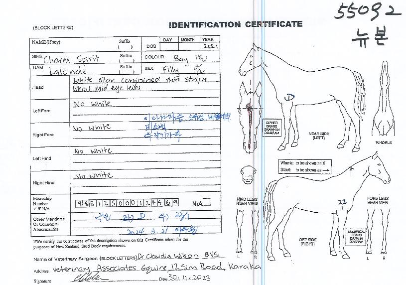 ´ºº»ÀÇ Ãø¸é,¿ì¸é,µÞ¸é,µÎ»ó,´Ù¸®ÀÇ Æ¯Â¡µµÇØ