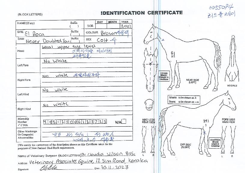 �����÷����� ����,���,�޸�,�λ�,�ٸ��� Ư¡����