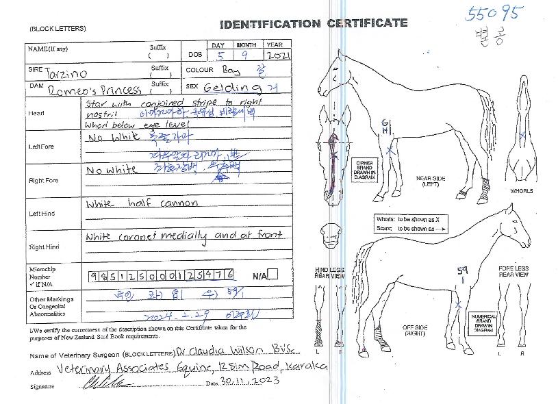 ������ ����,���,�޸�,�λ�,�ٸ��� Ư¡����