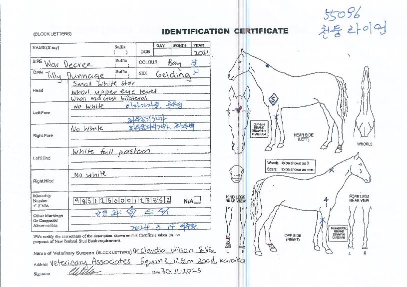 õ�ն��̾��� ����,���,�޸�,�λ�,�ٸ��� Ư¡����