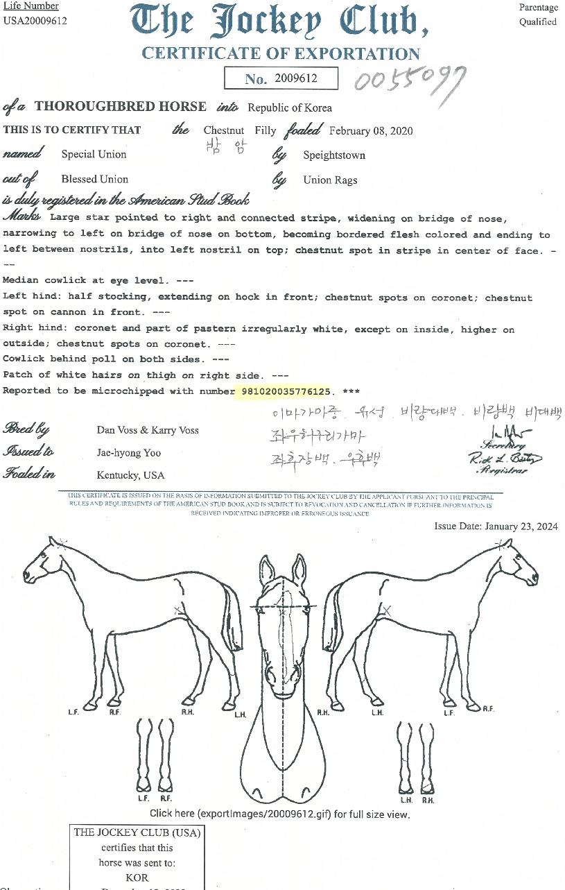 ��������Ͼ��� ����,���,�޸�,�λ�,�ٸ��� Ư¡����