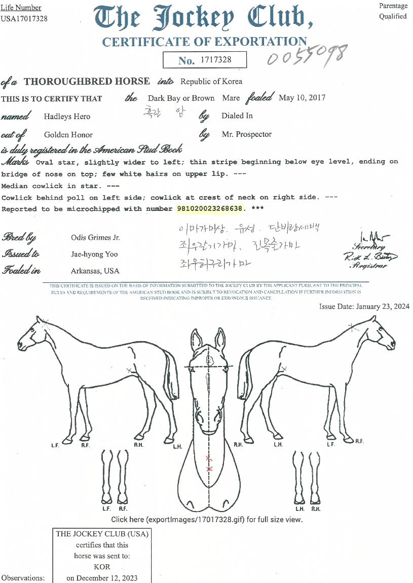 �ص鸮��������� ����,���,�޸�,�λ�,�ٸ��� Ư¡����