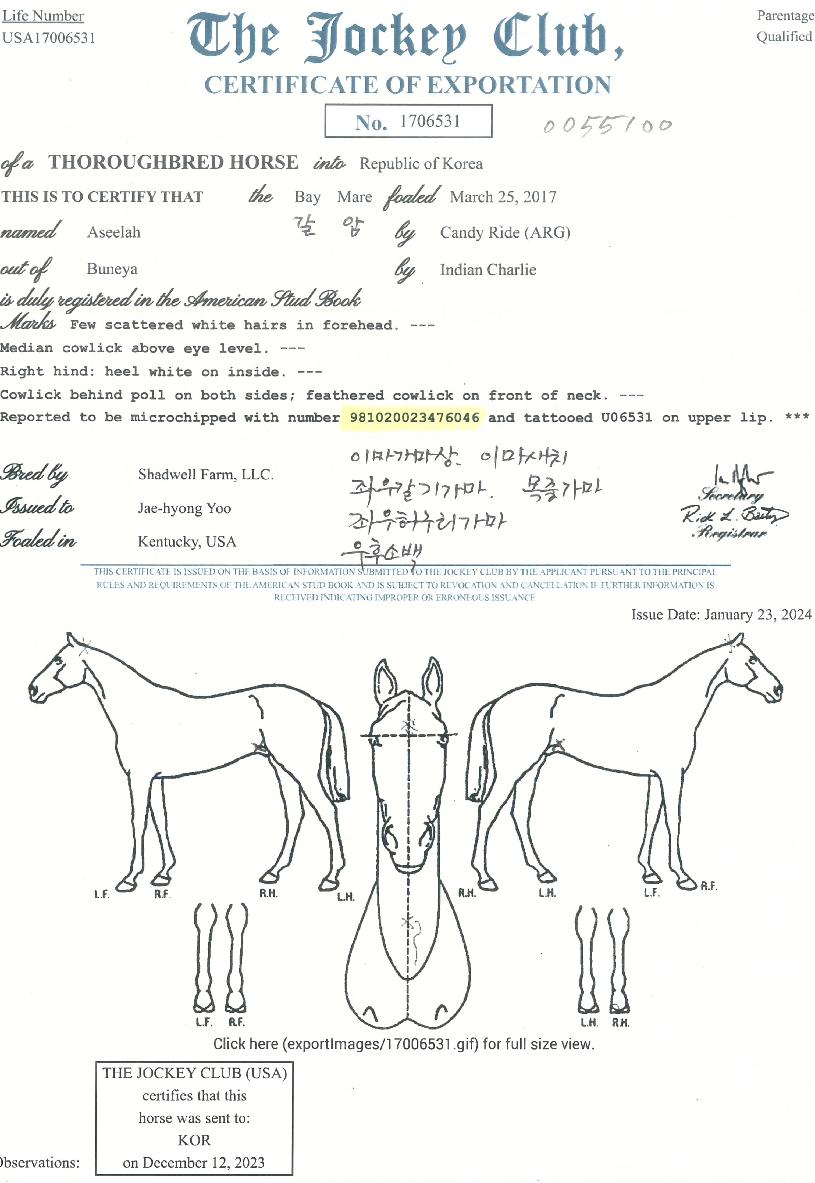 ¾Æ½Ç¶óÀÇ Ãø¸é,¿ì¸é,µÞ¸é,µÎ»ó,´Ù¸®ÀÇ Æ¯Â¡µµÇØ