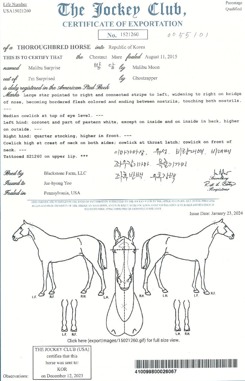 �����μ����������� ����,���,�޸�,�λ�,�ٸ��� Ư¡����