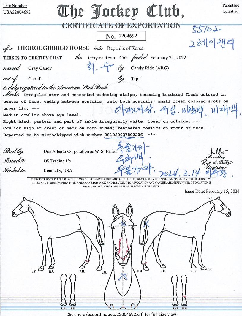 ±×·¹ÀÌĵµðÀÇ Ãø¸é,¿ì¸é,µÞ¸é,µÎ»ó,´Ù¸®ÀÇ Æ¯Â¡µµÇØ