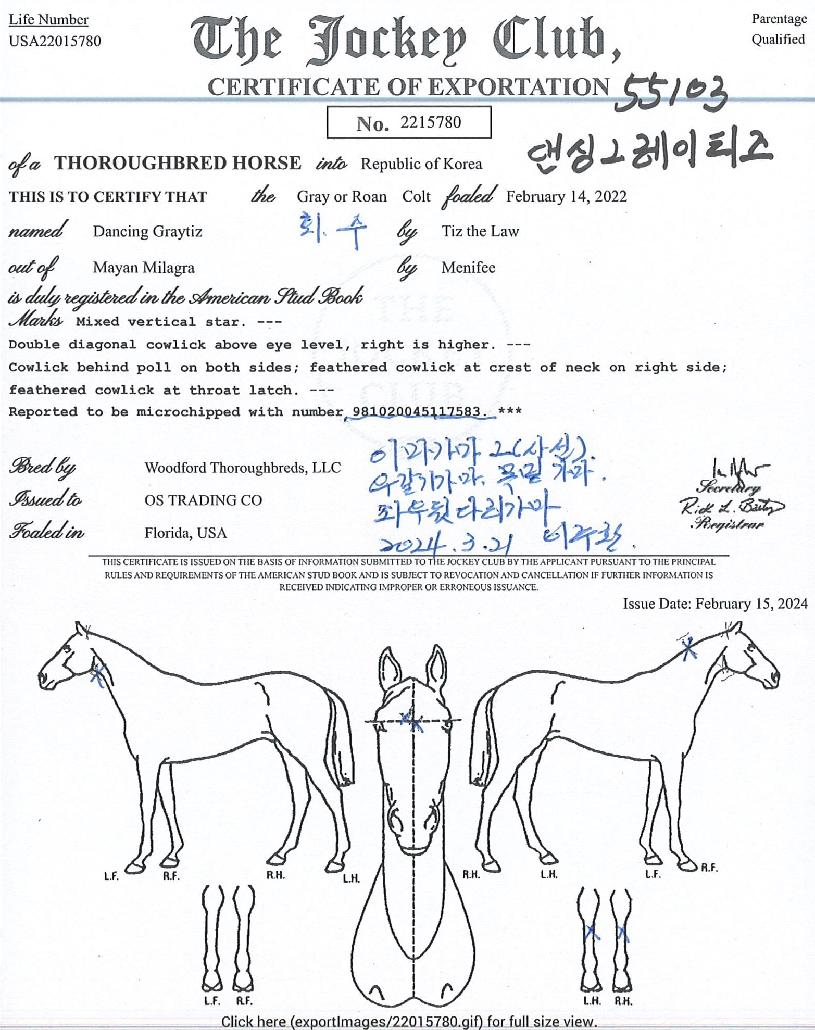 ���̱׷���Ƽ���� ����,���,�޸�,�λ�,�ٸ��� Ư¡����