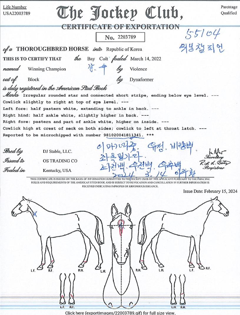 À§´×èÇǾðÀÇ Ãø¸é,¿ì¸é,µÞ¸é,µÎ»ó,´Ù¸®ÀÇ Æ¯Â¡µµÇØ