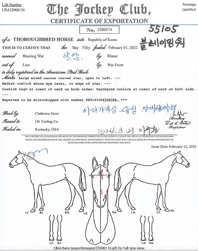 ºí·¹Àֿ̹öÀÇ Ãø¸é,¿ì¸é,µÞ¸é,µÎ»ó,´Ù¸®ÀÇ Æ¯Â¡µµÇØ