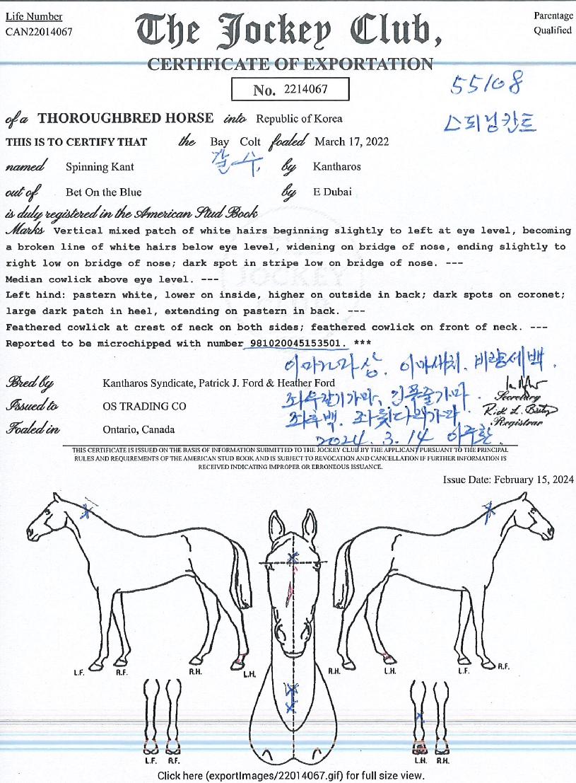 ���Ǵ�ĭƮ�� ����,���,�޸�,�λ�,�ٸ��� Ư¡����