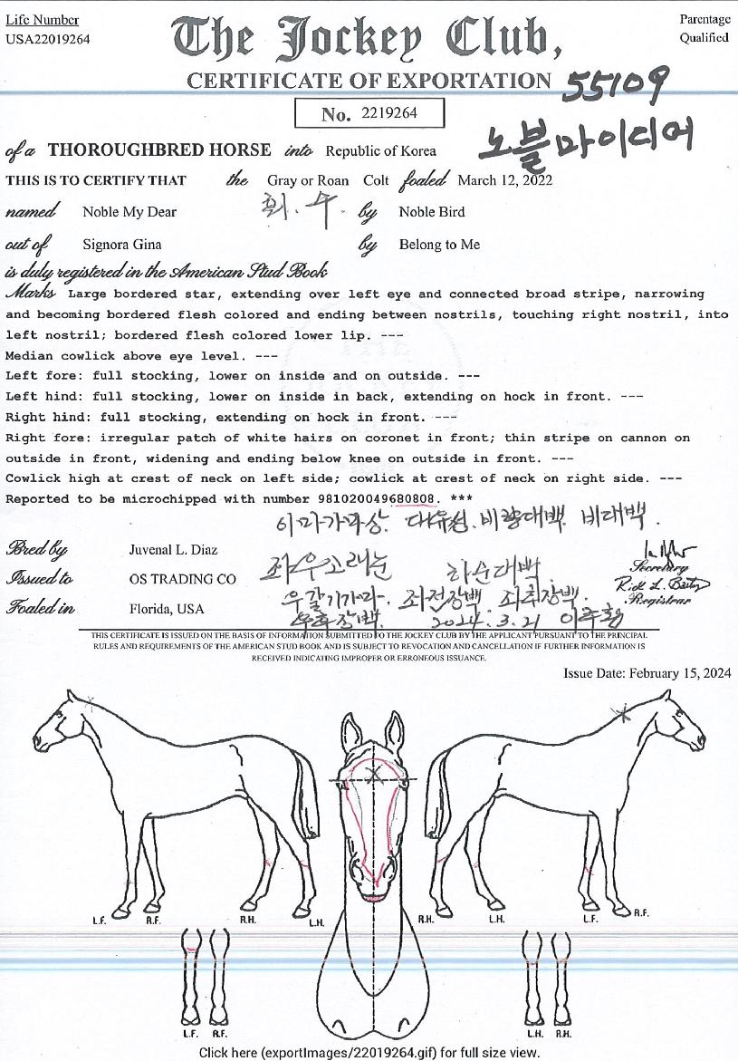 ������̵���� ����,���,�޸�,�λ�,�ٸ��� Ư¡����