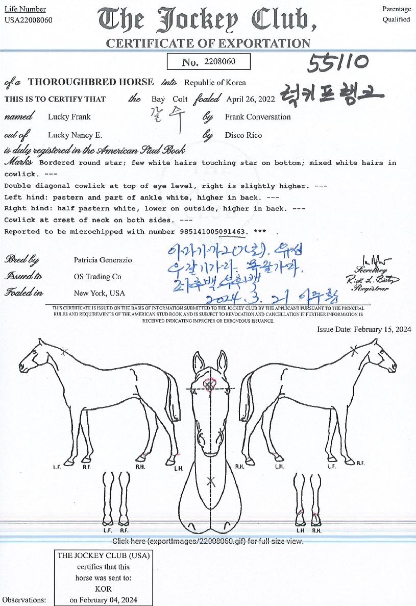 ·°Å°ÇÁ·©Å©ÀÇ Ãø¸é,¿ì¸é,µÞ¸é,µÎ»ó,´Ù¸®ÀÇ Æ¯Â¡µµÇØ